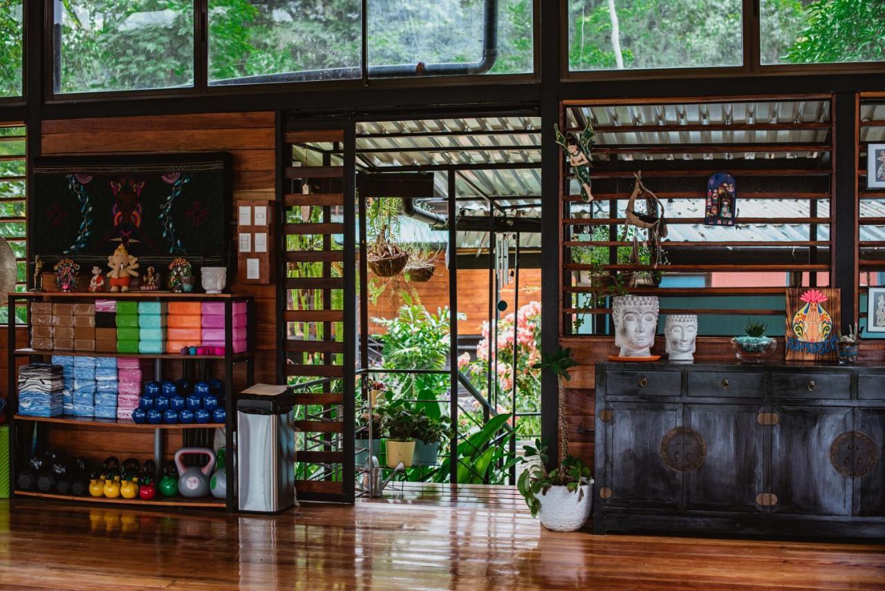 Selva Madre Eco-Sanctuary Aparthotel Cahuita Exterior photo