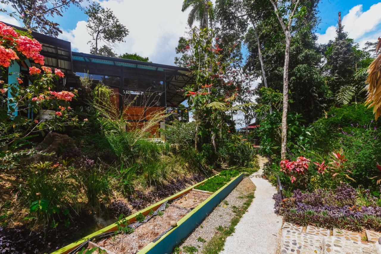 Selva Madre Eco-Sanctuary Aparthotel Cahuita Exterior photo