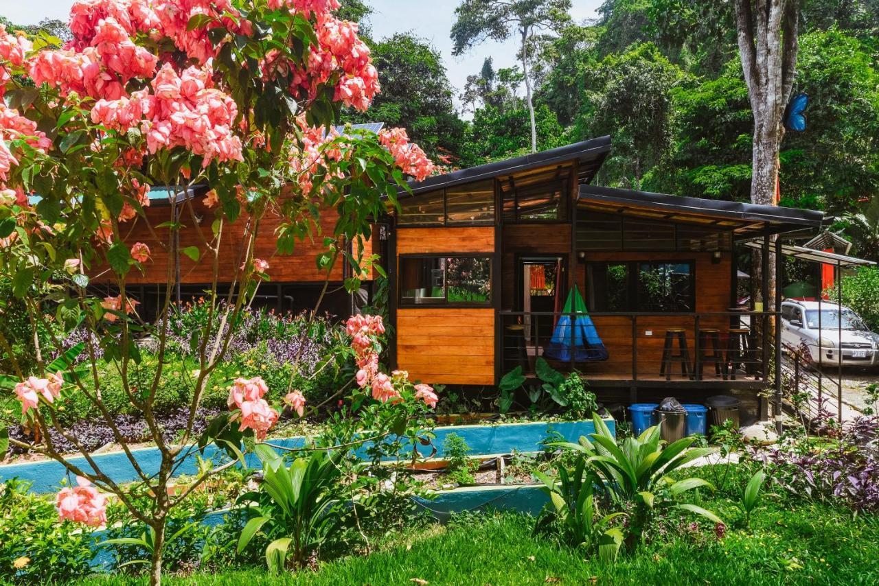 Selva Madre Eco-Sanctuary Aparthotel Cahuita Exterior photo