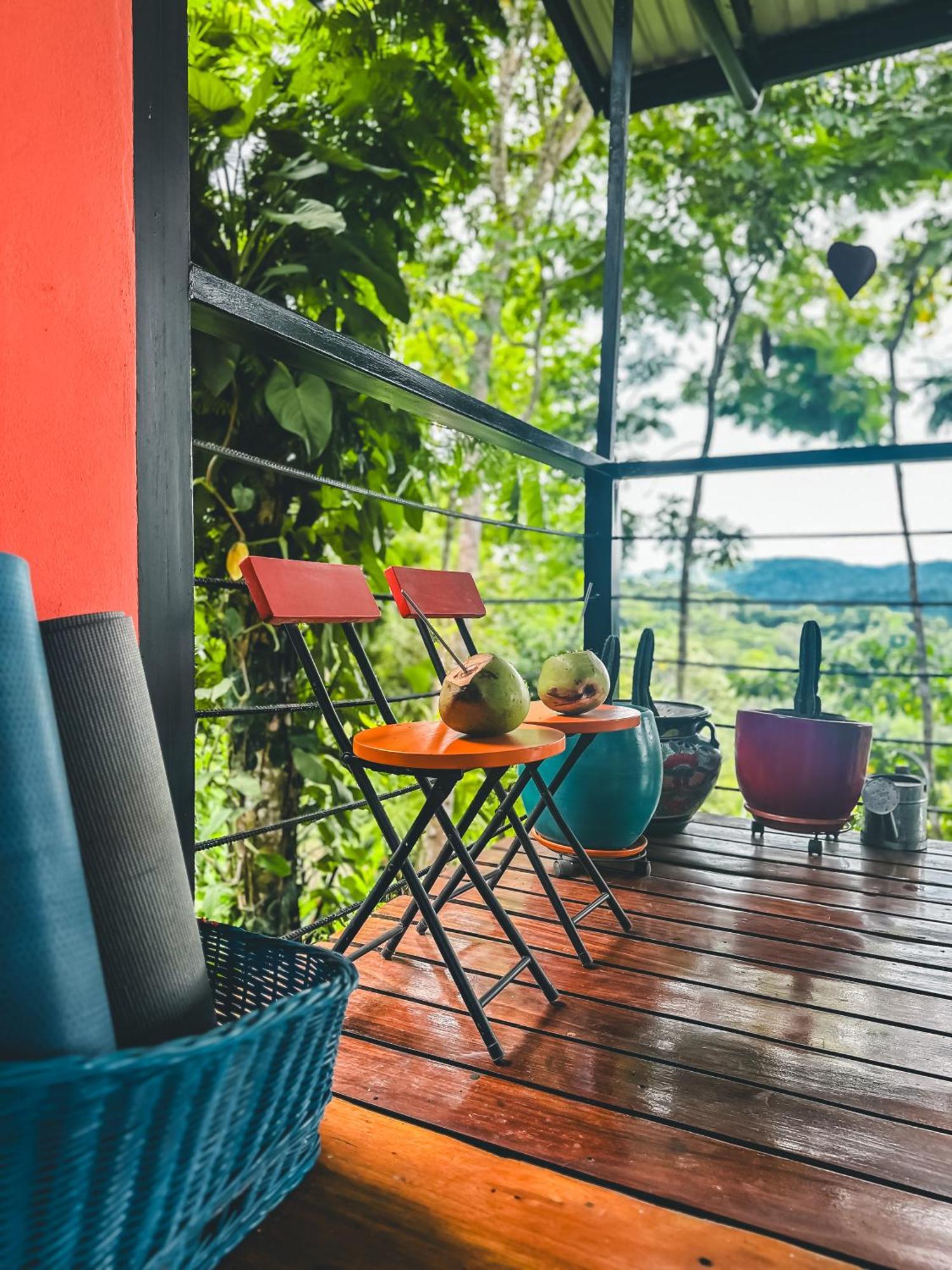 Selva Madre Eco-Sanctuary Aparthotel Cahuita Exterior photo