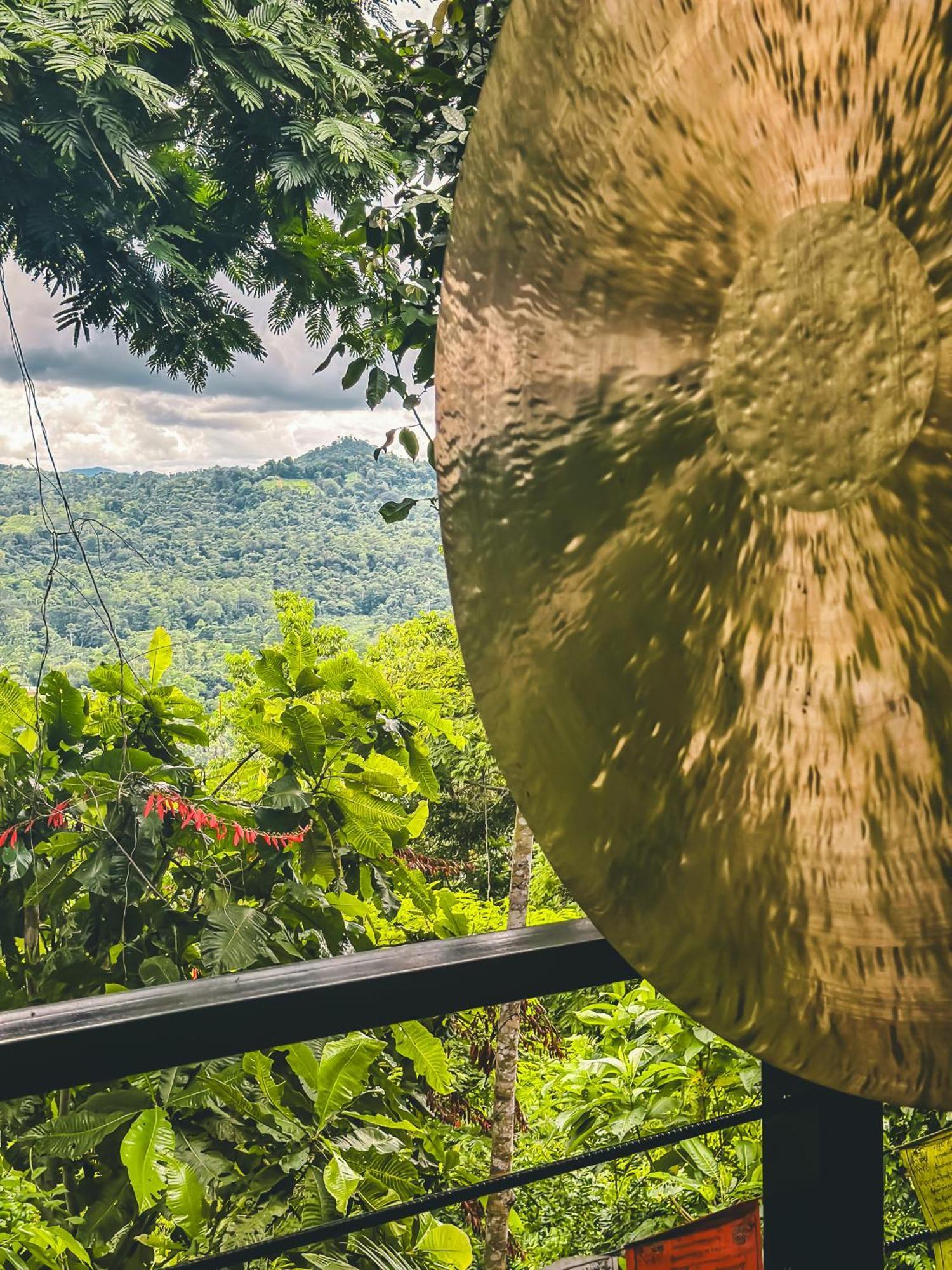 Selva Madre Eco-Sanctuary Aparthotel Cahuita Exterior photo